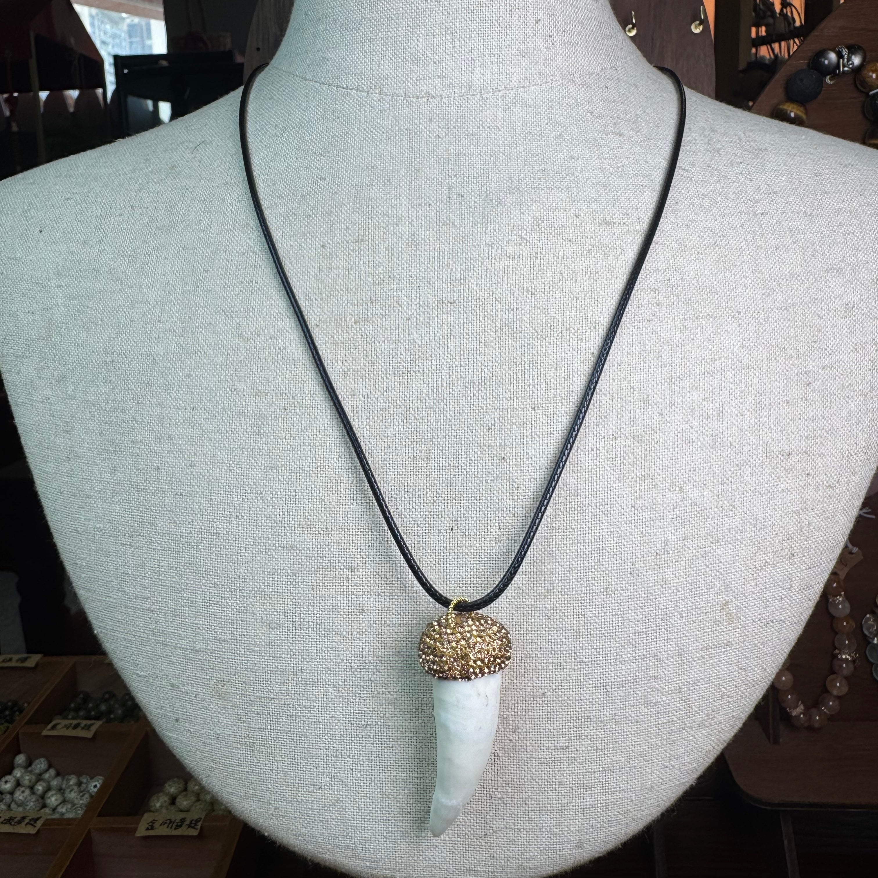 Gold Dome Crocodile Tooth Necklace | Black Leather Cord
